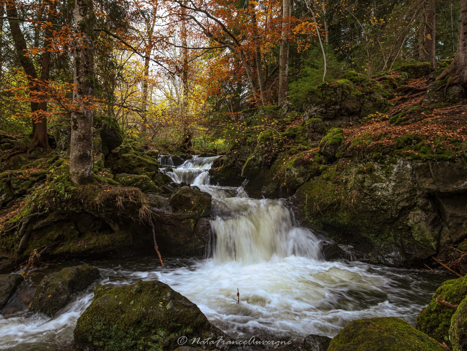 Cascades de Chiloza nov 2023 by @NataFranceAuvergne-8830